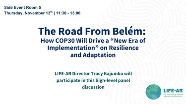 Side event road from belem COP30 on adaptation