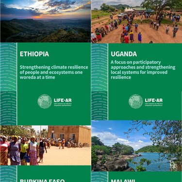 Front cover of all portfolios in EN version