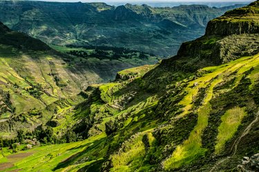 Green hills